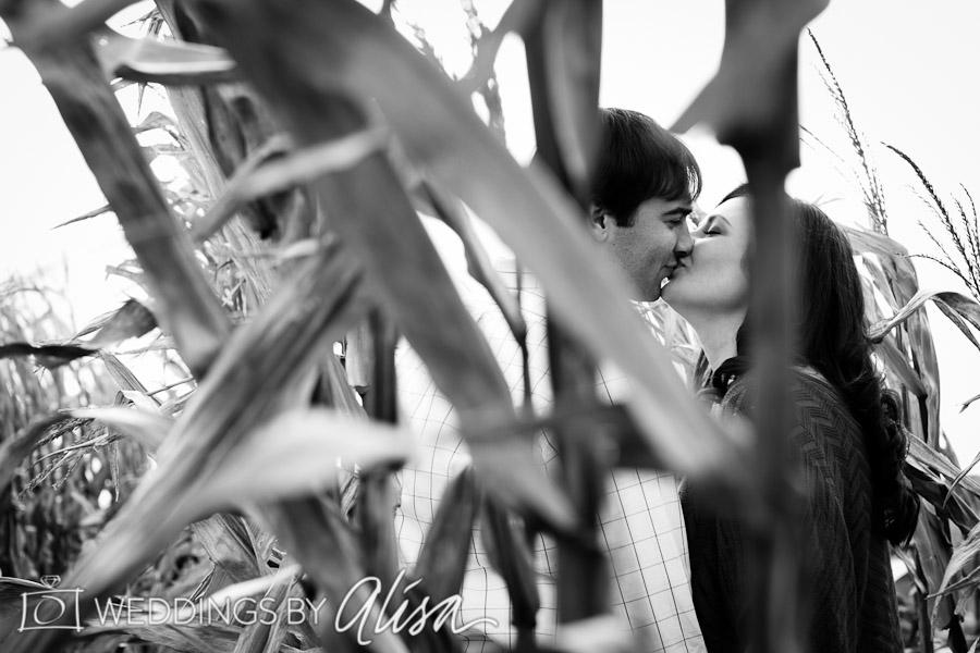 pittsburgh wedding engagement photographer-9695