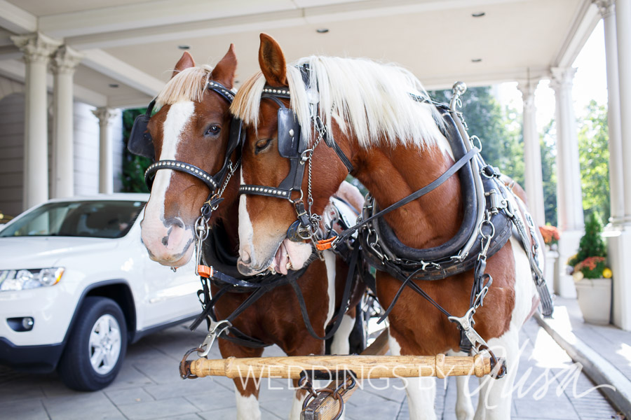 WEDDING_AT_NEMACOLIN-03 (2)