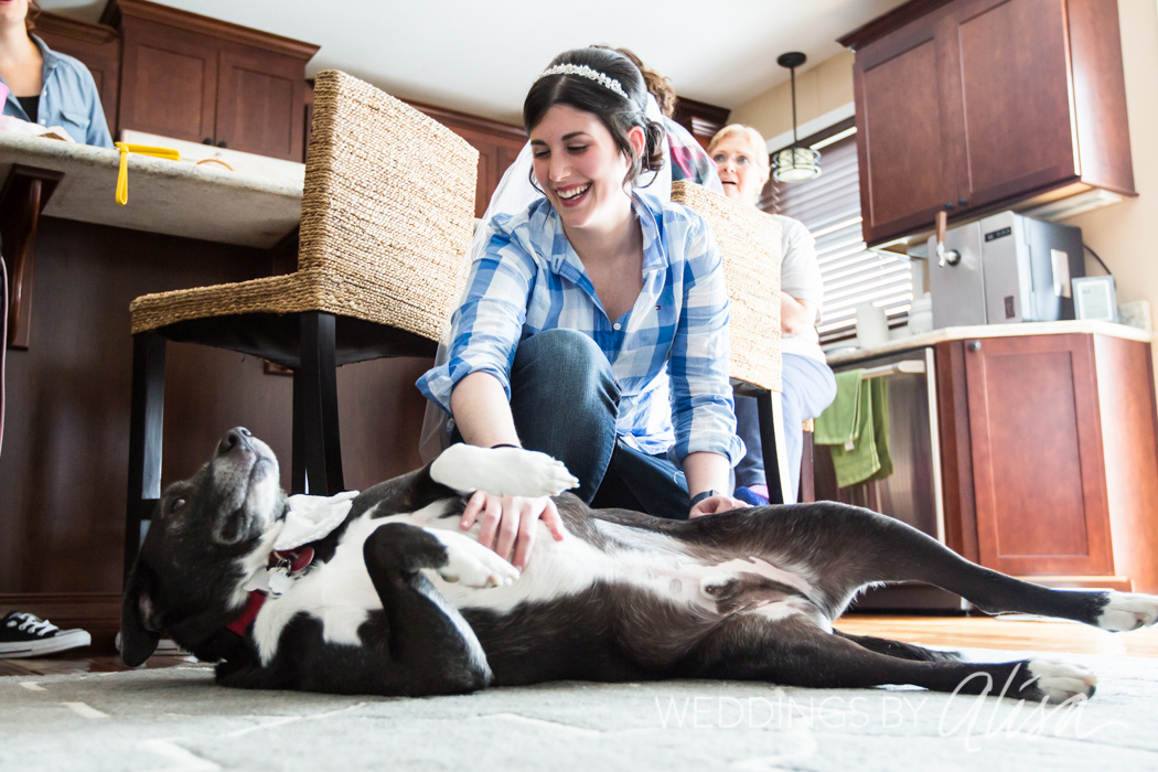 Bride with her dog on wedding day in Pittsburgh